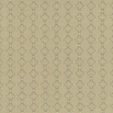 Kasmir Full Circle Sterling Fabric