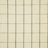 Pindler Delsey Thunder Fabric
