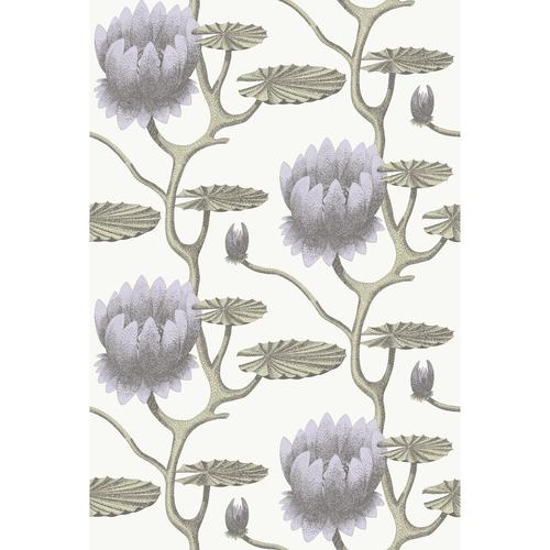 Cole & Son SUMMER LILY LILAC/GRN/WT Wallpaper
