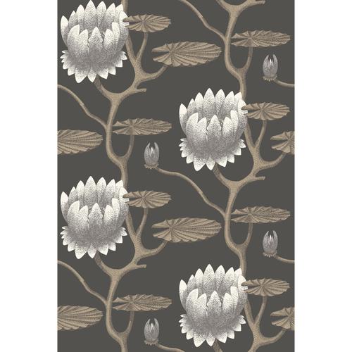 Cole & Son SUMMER LILY BLK/WHT/GOLD Wallpaper