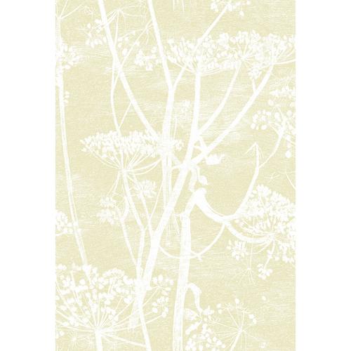 Cole & Son COW PARSLEY STRAW/WHITE Wallpaper