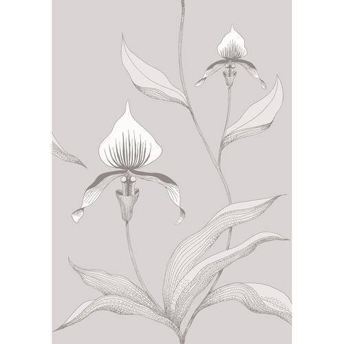 Cole & Son ORCHID GREY/WHITE Wallpaper