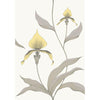 Cole & Son Orchid Yellow/White Wallpaper