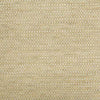 Pindler Lucca Sandpiper Fabric