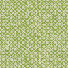 Lee Jofa Pomeroy Green/Oyster Fabric
