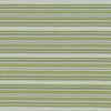 Kasmir Tatiana Stripe Key Lime Fabric