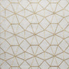 Kasmir Webwork Gold Fabric
