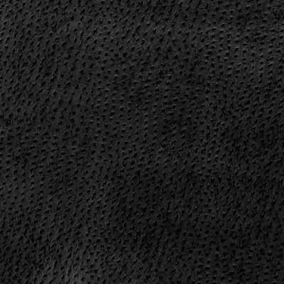 Kravet OSSY 8 Fabric