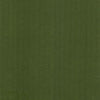 Kasmir Aventura Green Fabric