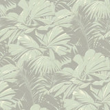 Seabrook Masquerade Light Eucalyptus And Gray Wallpaper
