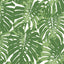 Seabrook Jamaica Basil Green And White Wallpaper