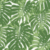 Seabrook Jamaica Basil Green And White Wallpaper
