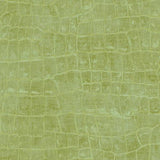Seabrook Curacao Apple Green Wallpaper