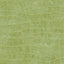 Seabrook Curacao Apple Green Wallpaper