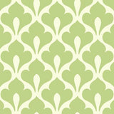 Seabrook Grenada Lime Green And White Wallpaper