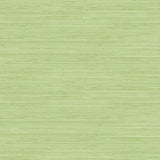 Seabrook Jamaica Grass Olive Green Wallpaper