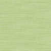 Seabrook Jamaica Grass Olive Green Wallpaper