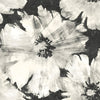 Seabrook Curie Abstract Floral Metallic Ebony And Off-White Wallpaper