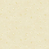 Seabrook Hubble Dots Metallic Chanmpagne Wallpaper