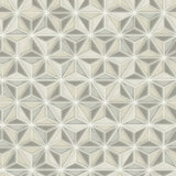 Seabrook Einstein Geometric Metallic Gold And Metallic Silver Wallpaper