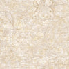 Seabrook Vespucci Map Beige, Gray, And Gold Wallpaper