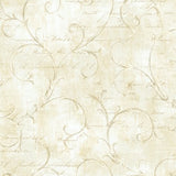 Seabrook Charleston Scroll Fawn Wallpaper