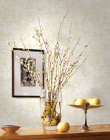 Seabrook Charleston Scroll Fawn Wallpaper