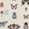 Clarke & Clarke Papilio Blush/Natural Fabric