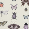 Clarke & Clarke Papilio Heather/Ivory Fabric