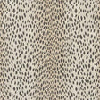 JF Fabrics MINX 36 Fabric