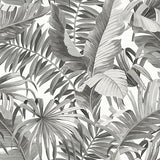 JF Fabrics 2258 97 Wallpaper