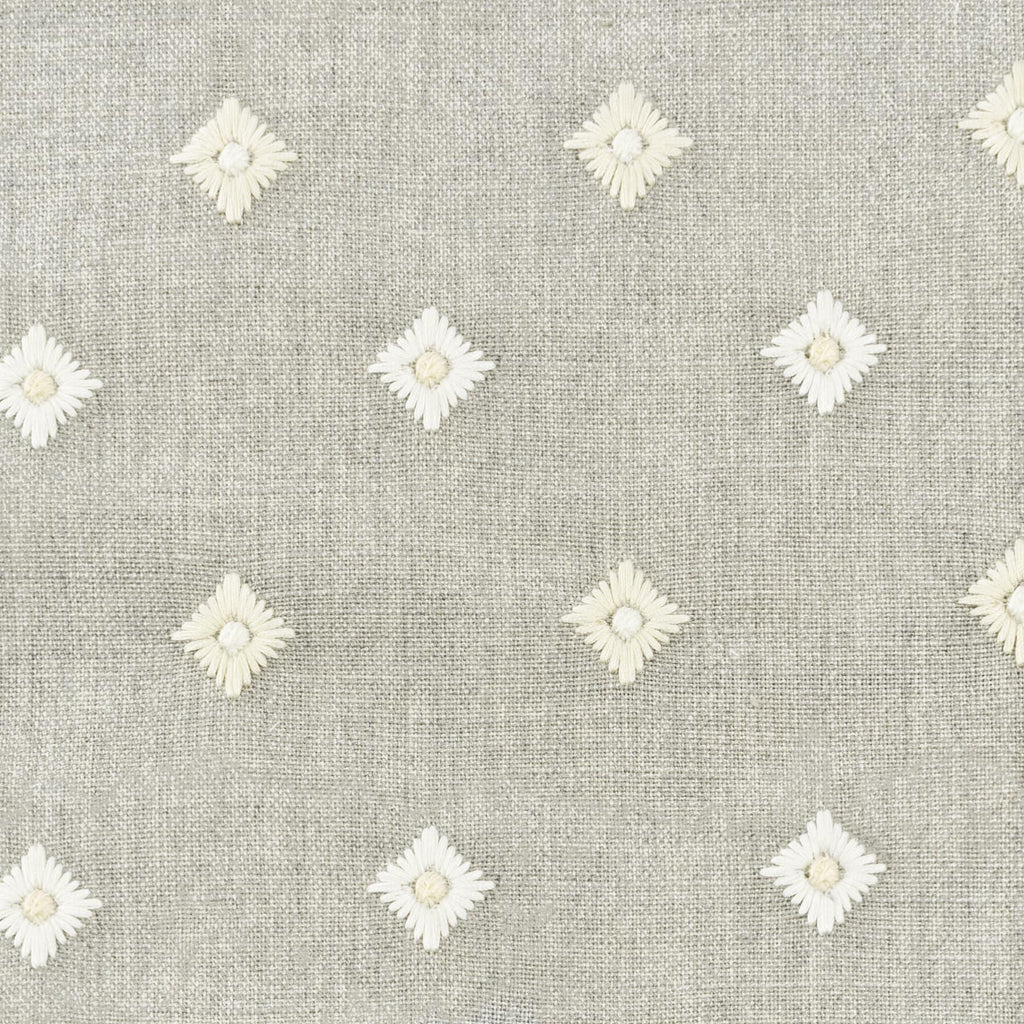 Stout AGELESS CEMENT Fabric
