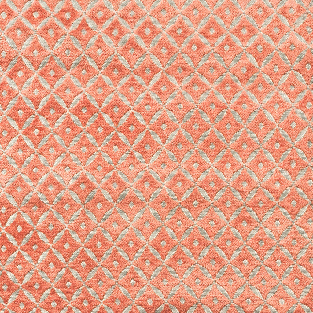 Stout PACIFIC GINGERSNAP Fabric