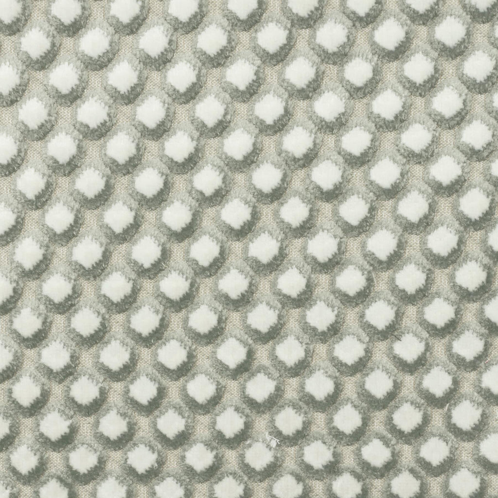 Stout EDWARD SLATE Fabric