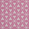 Clarke & Clarke Delta Raspberry Fabric