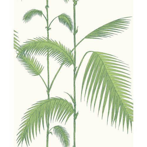 Cole & Son PALM LEAVES GREEN/WHITE Wallpaper