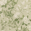G P & J Baker Emperor'S Garden Soft Green Wallpaper