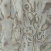 Winfield Thybony Abalone Frostp Wallpaper