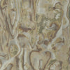 Winfield Thybony Abalone Siltp Wallpaper