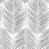 Seabrook Paradise Palm Daydream Gray Wallpaper