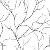 Seabrook Delicate Branches Ebony Wallpaper
