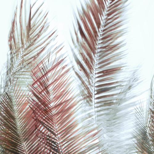 JF Fabrics 10010 44 Wallpaper