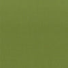 Stout Stanford Lime Fabric