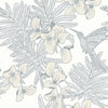 Maxwell Hummingbird (Wp) #05 Mist Wallpaper