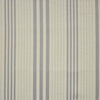 Maxwell Broadband #706 Tin Fabric