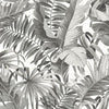 A-Street Prints Alfresco Black Palm Leaf Wallpaper