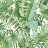 A-Street Prints Alfresco Green Palm Leaf Wallpaper