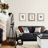 Brewster Home Fashions Chesapeake Birch & Sparrow 3118-25090 Eggshell Wallpaper