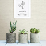 Brewster Home Fashions Bluestem White Faux Grasscloth Wallpaper