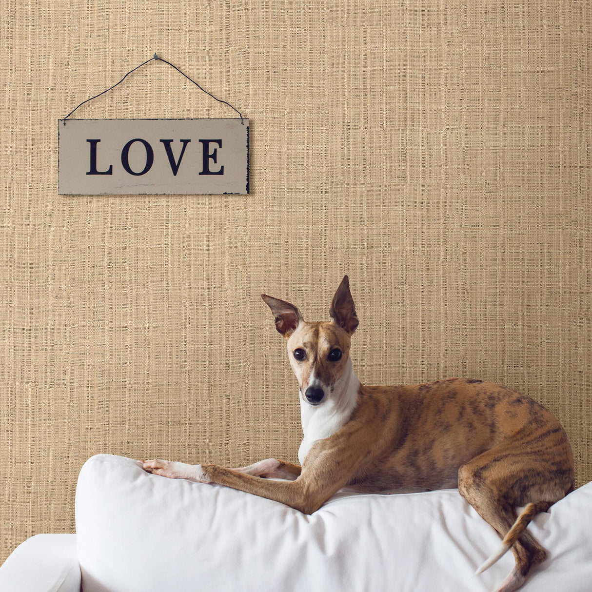 Brewster Home Fashions Warner Textures Warner Grasscloth Resource 2807-6011 Beige Wallpaper